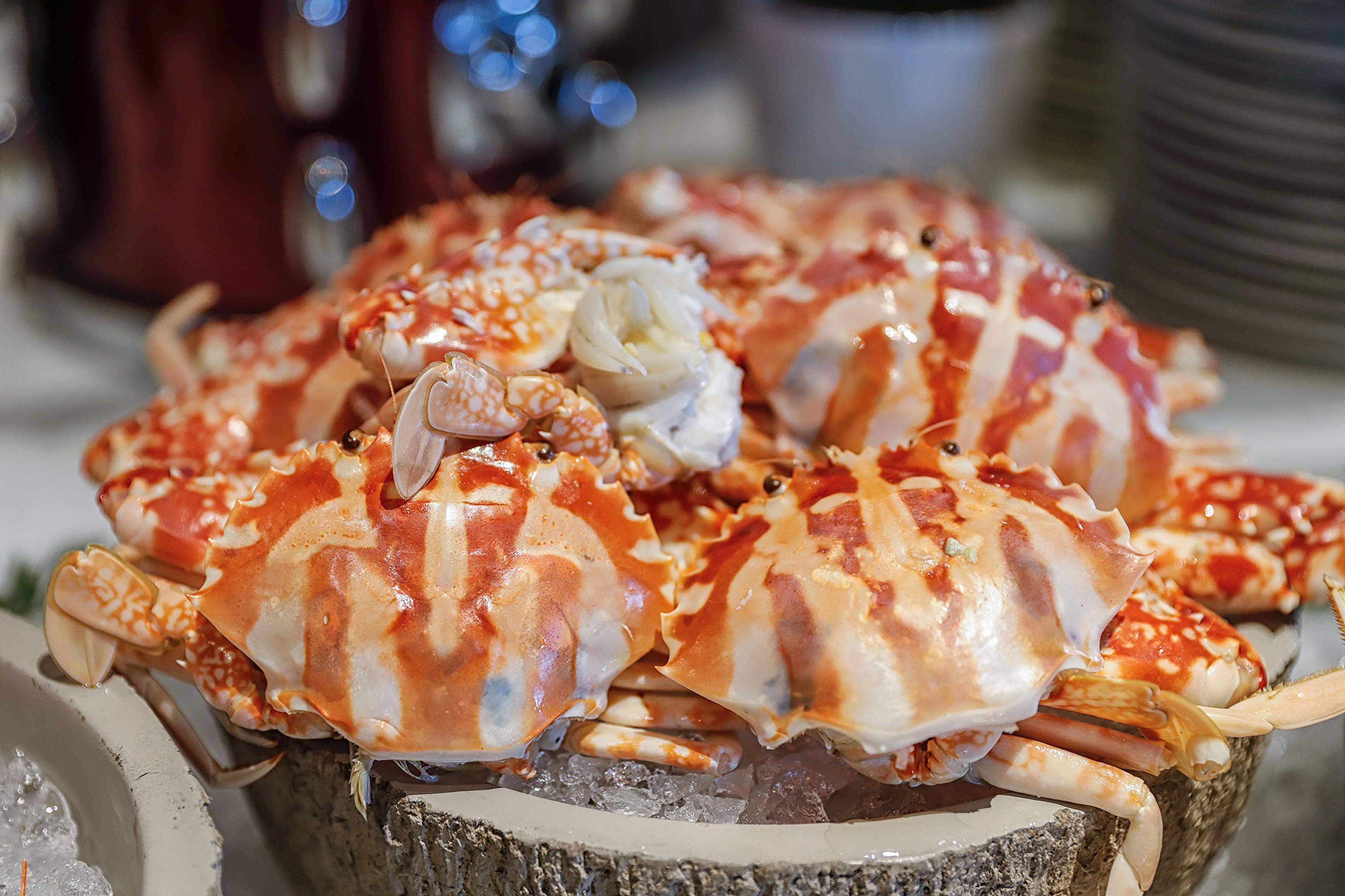 A large crab on a wooden surface with ice.