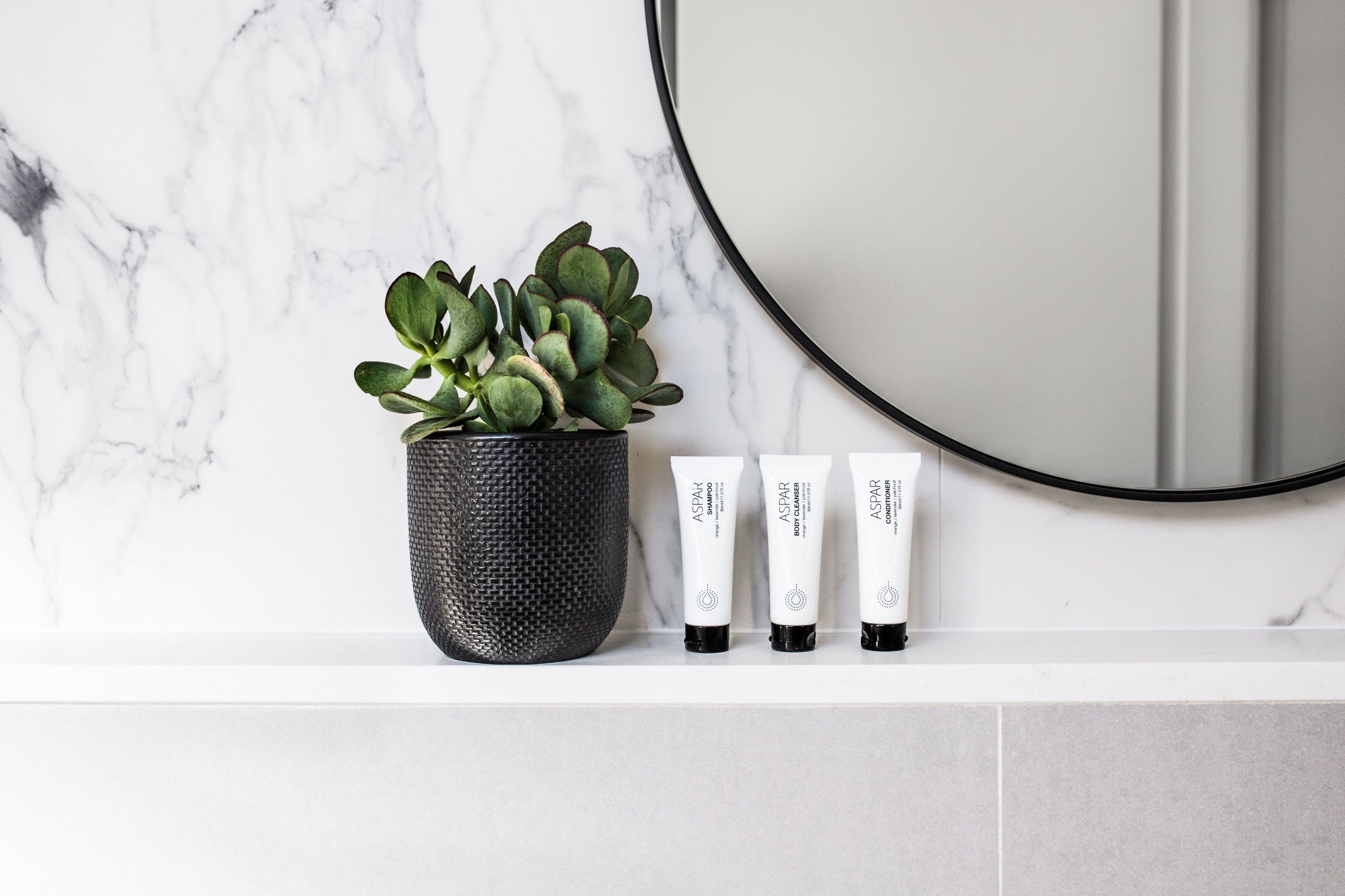 Photo - The Baxley Bondi