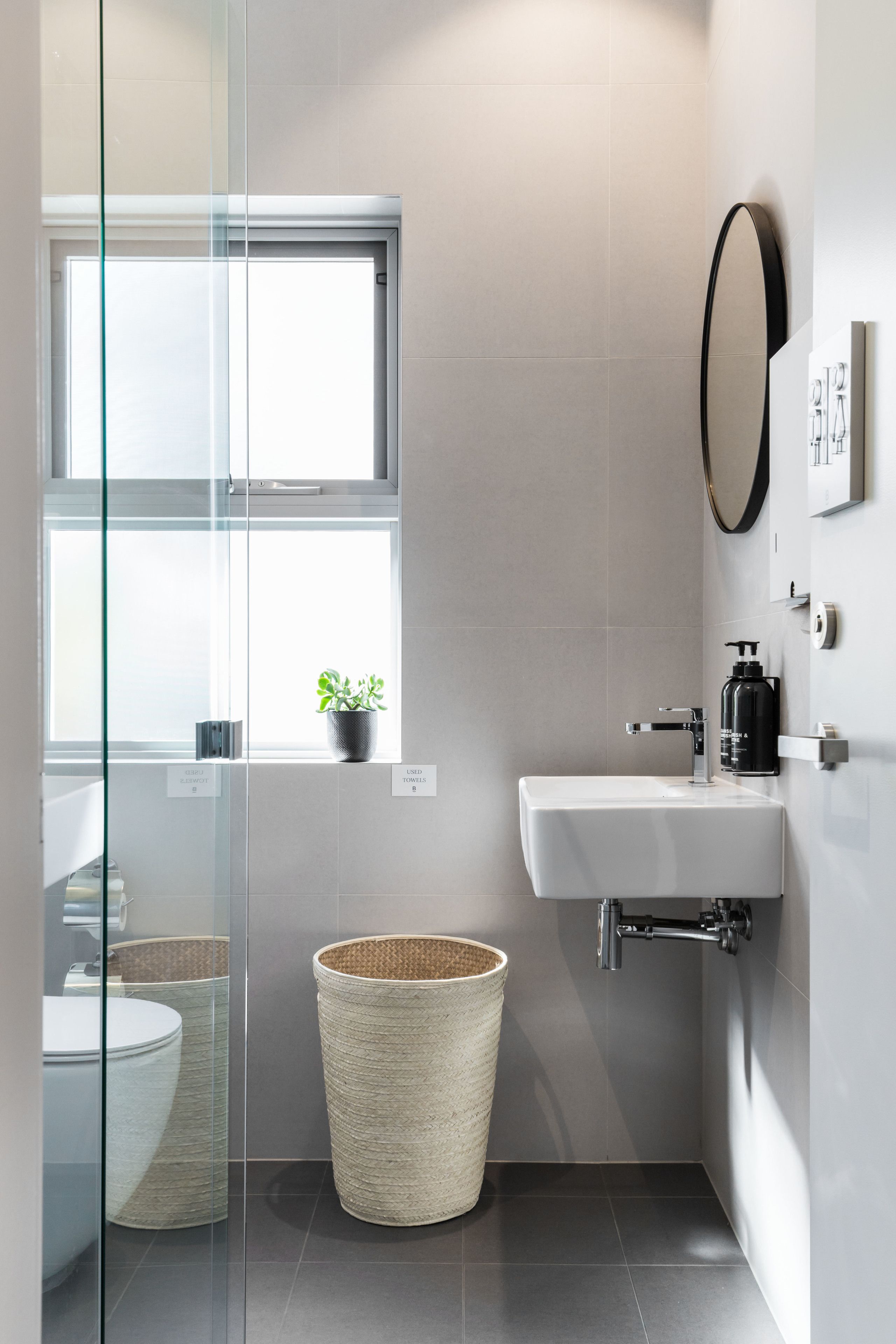A modern bathroom with a glass partition, a sink, a mirror, and a potted plant.