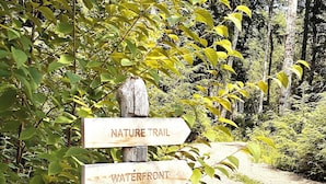 A wooden signpost with directional arrows pointing to 'Nature Trail' and 'Waterfront'. - Peaceful lakeside private waterfront campsite; 45 min drive to Acadia! BYOTent (Eastbrook)