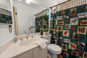 Combined shower/tub, hair dryer, towels