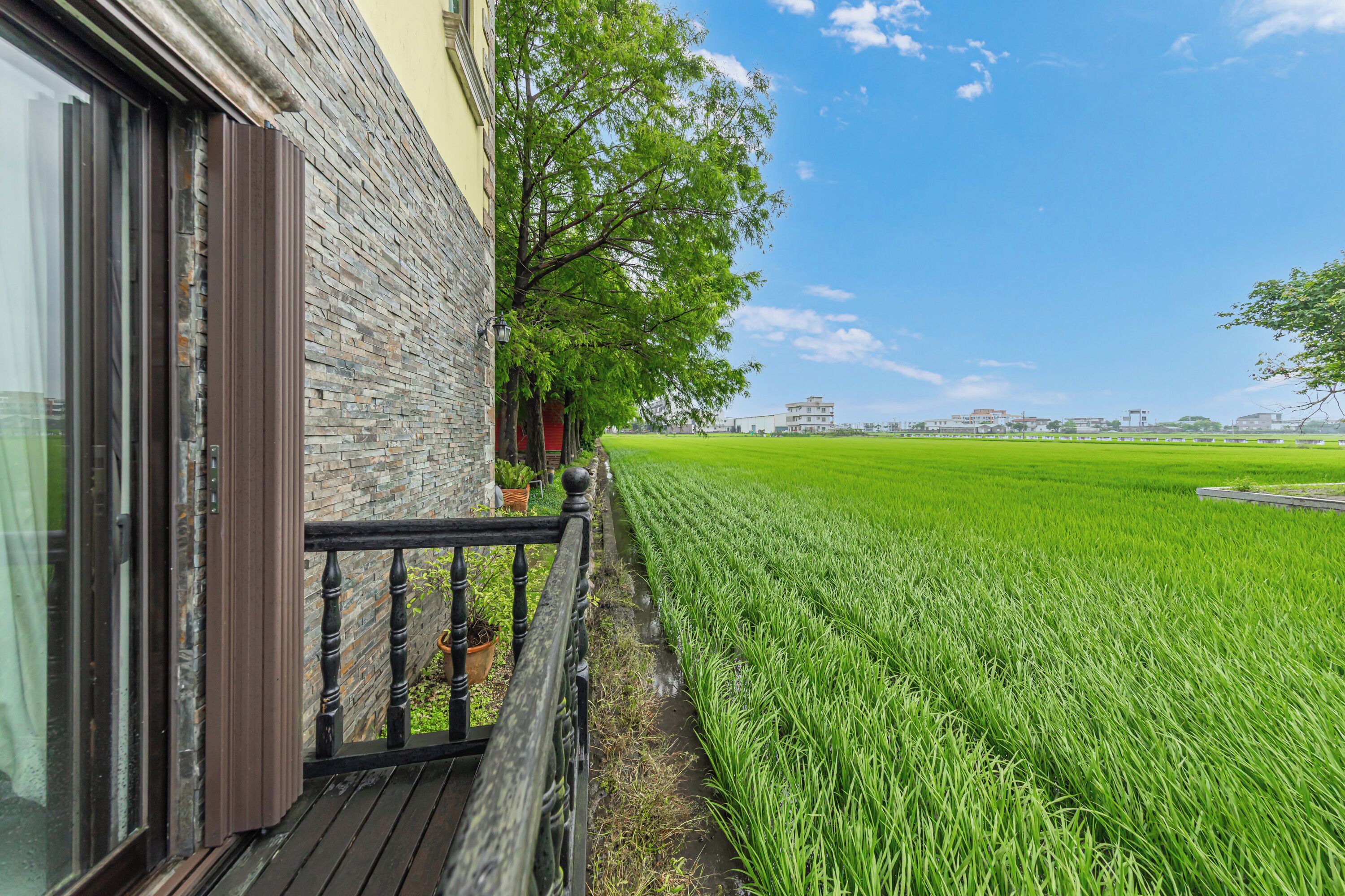 標準四人房 | 露台/庭院