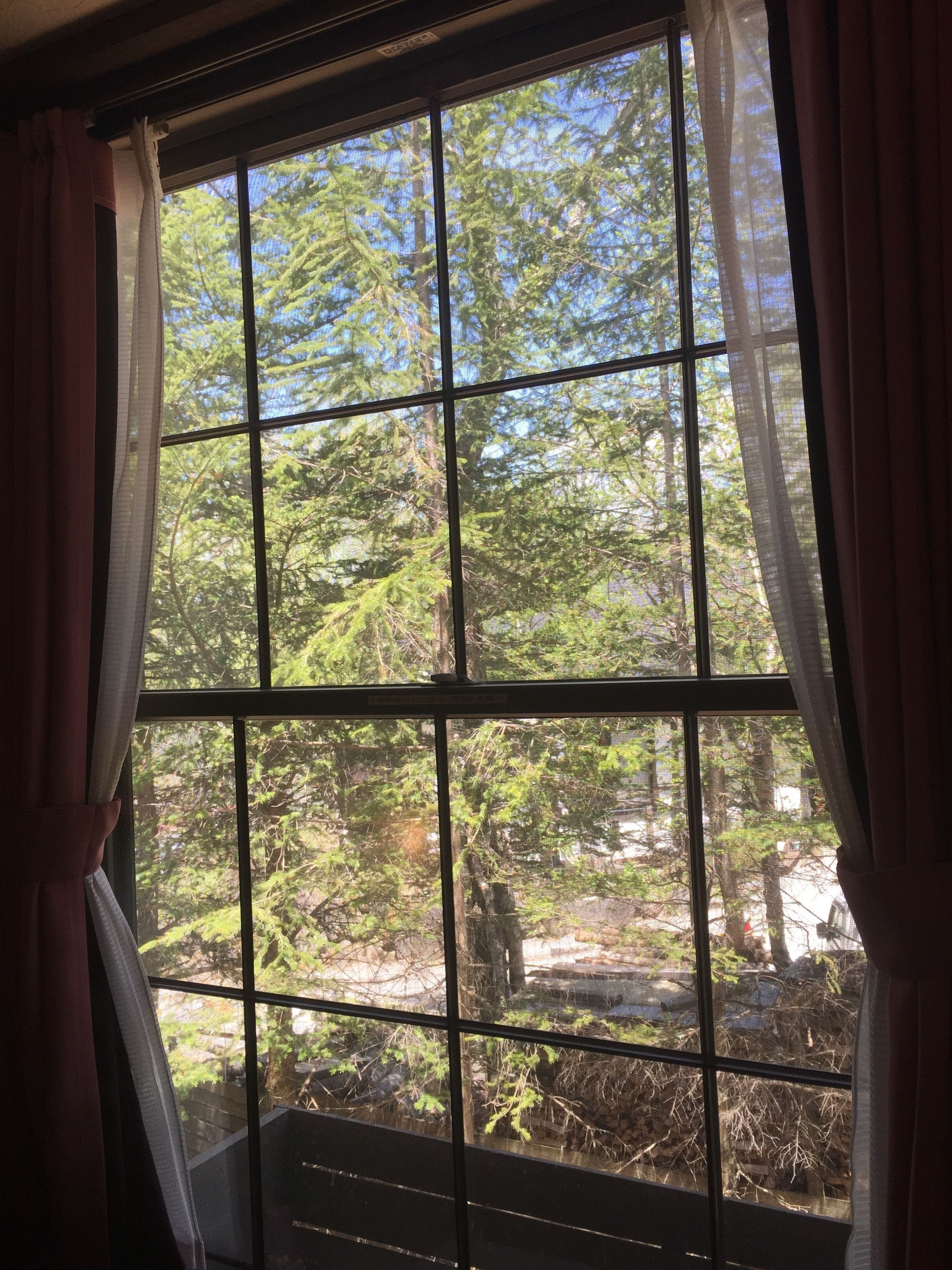 ห้องทริปเปิล, วิวสวน | วิวสนามหญ้า