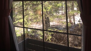 A large window with a view of a forested area.
