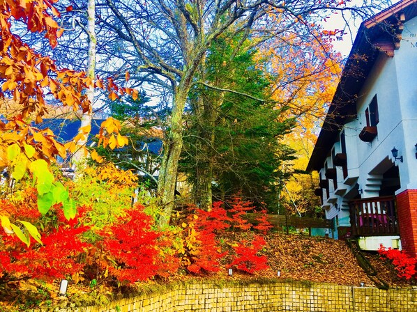 Un edificio tradicional con un muro de piedra y una valla de madera.