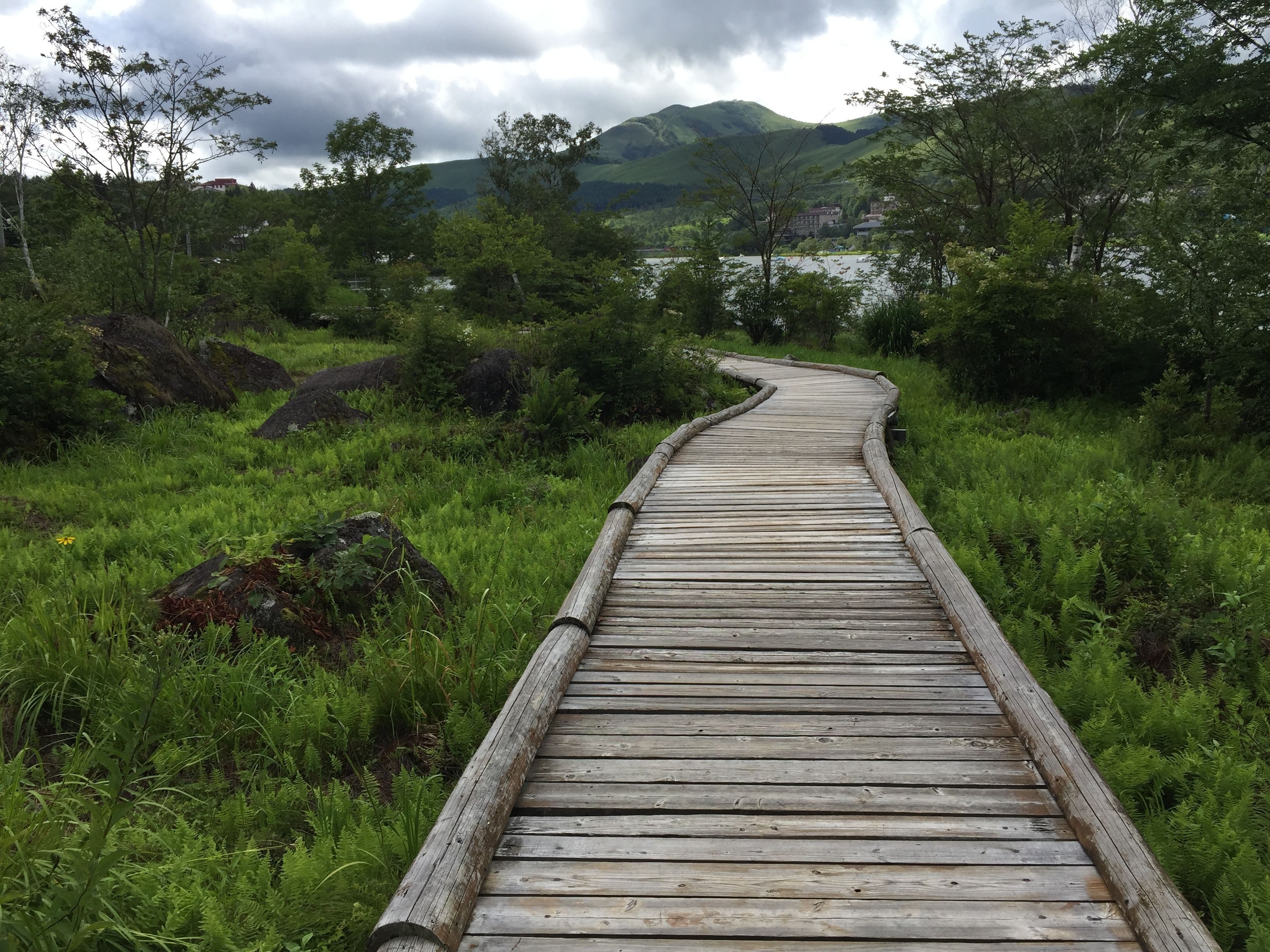 Une promenade en bois serpente à travers un paysage verdoyant, avec des montagnes en toile de fond.