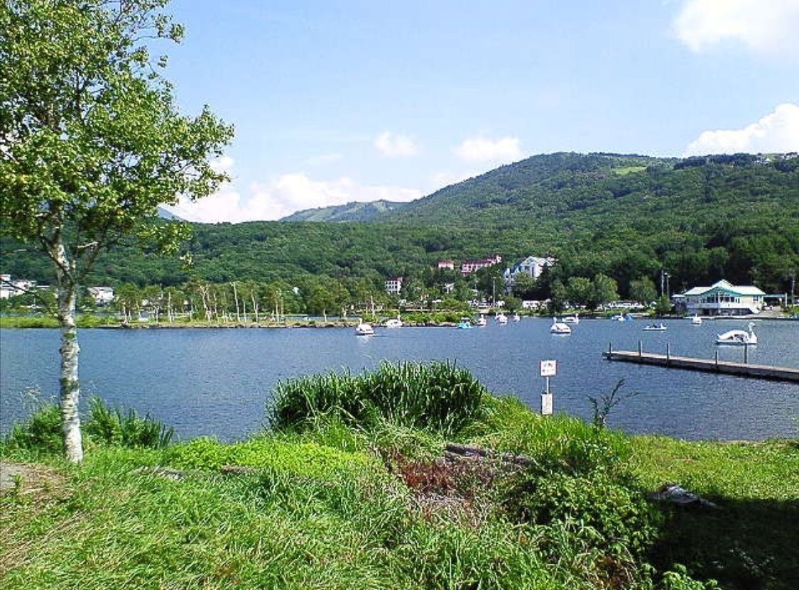 A lake with boats, a dock, and buildings in the background.