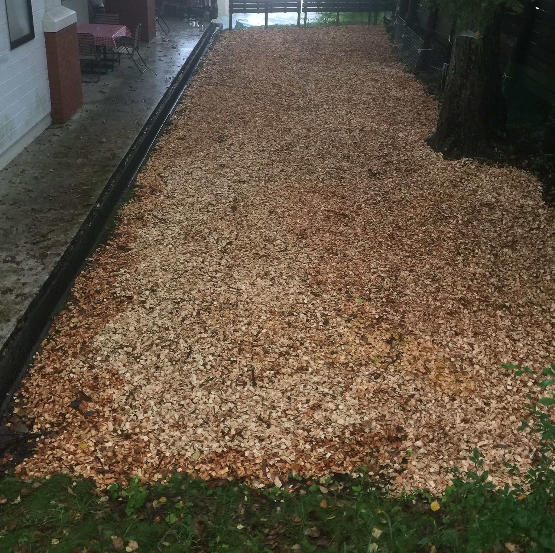 A pathway covered with dry leaves, leading to a building with a brick wall and a window.
