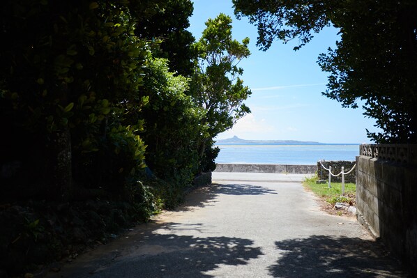 A paved pathway leading to a body of water, surrounded by dense foliage and a stone wall. - Fuu (Motobu)