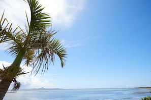 View from property - Fuu (Motobu)