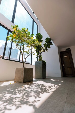 豪華雙人或雙床房 | 露台/庭院