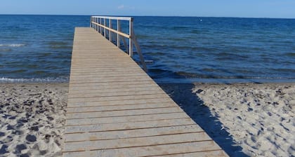 Het leven is beter op het strand