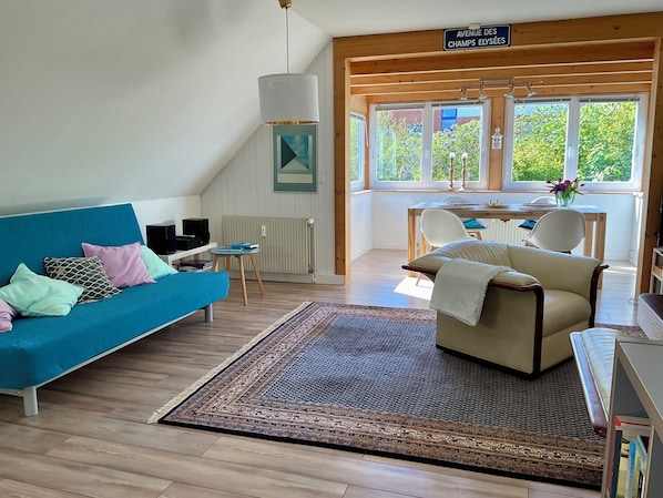Smart TV, DVD player, books, music library