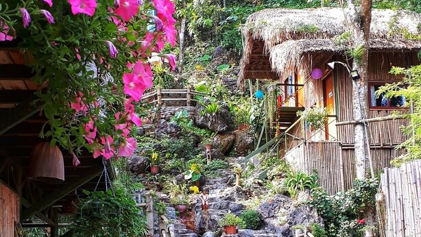 A rustic garden with stone steps leading to a thatched-roof structure. - Green Hill Hostel & Homestay (Ha Giang 2)
