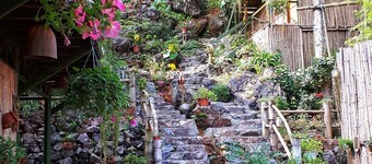 Green Hill Hostel & Homestay