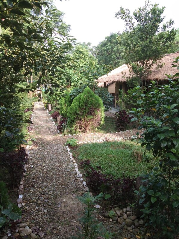 Property grounds - Chital Lodge (Meghauli)