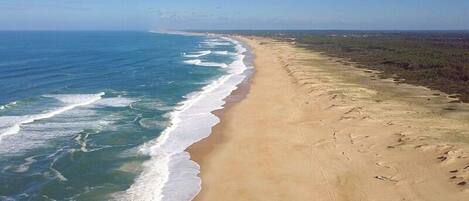 Plage à proximité