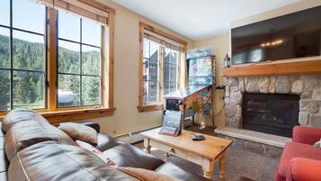 Smart TV, fireplace, DVD player, video library