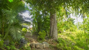 A pathway surrounded by lush greenery and large rocks. - Meadow Villa - Galle (Galle)