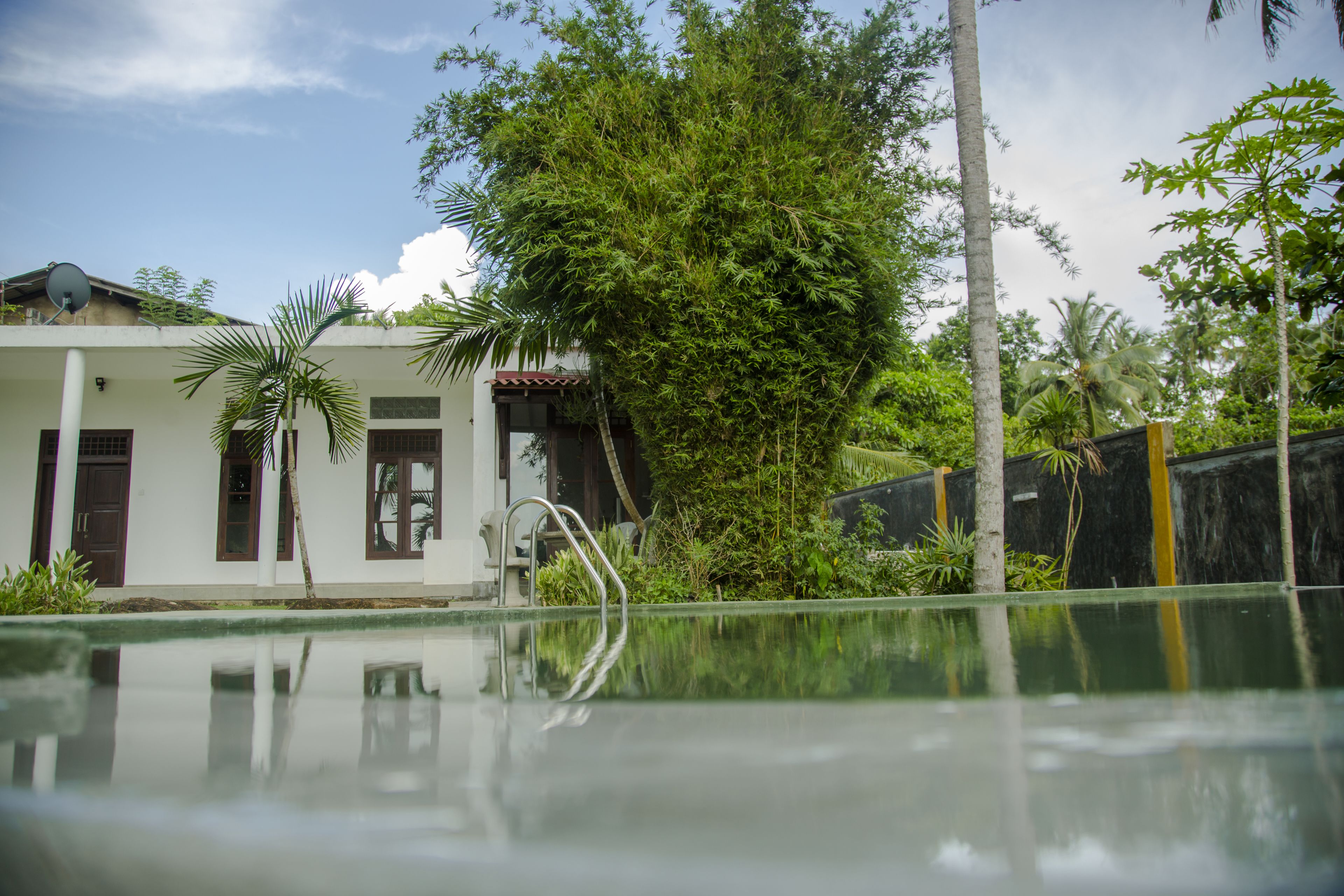 A modern house with a swimming pool, surrounded by lush greenery and palm trees.