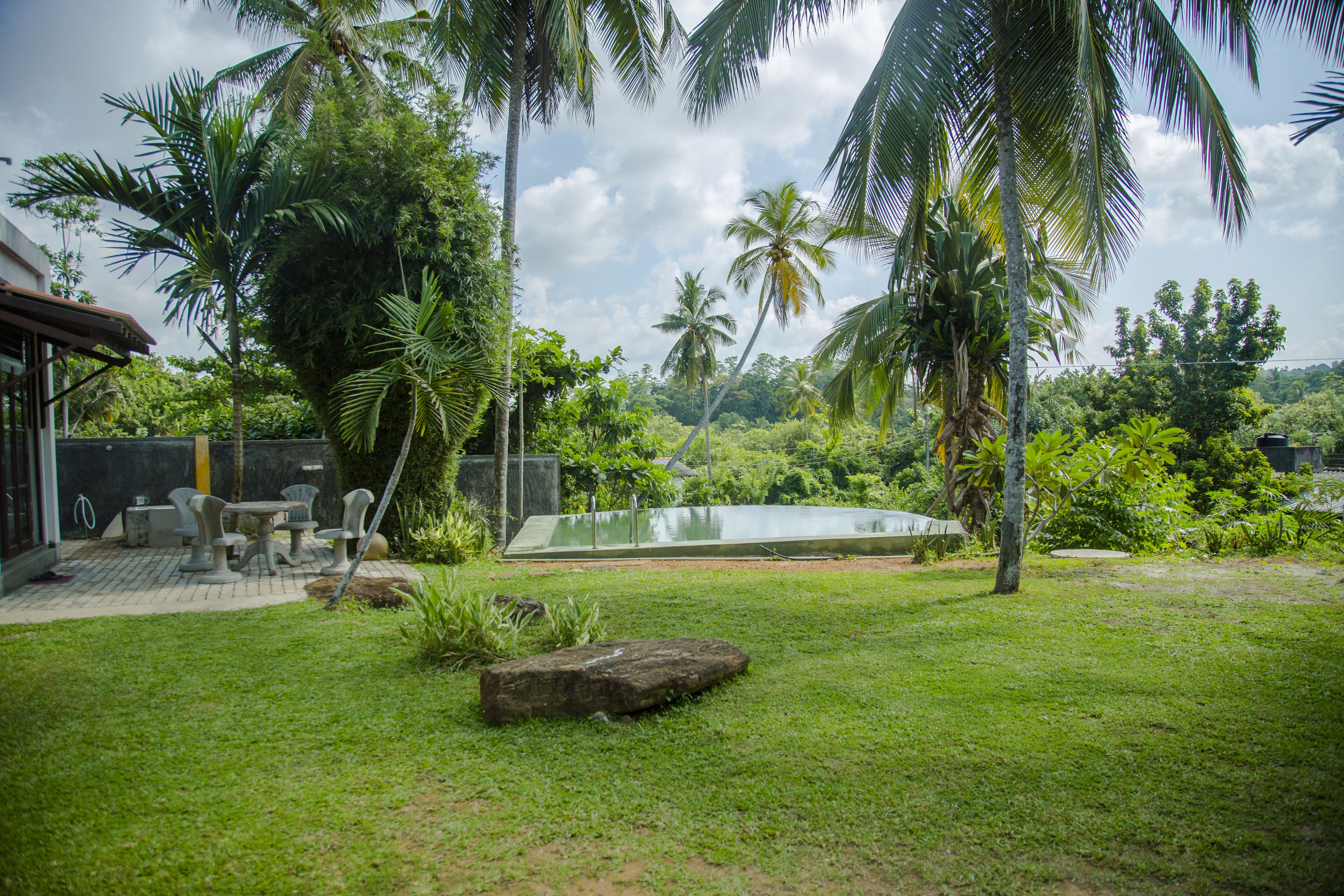 A lush garden with palm trees, a swimming pool, and outdoor furniture.