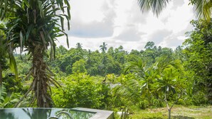 A swimming pool with a concrete edge, surrounded by lush greenery and palm trees. - Meadow Villa - Galle (Galle)