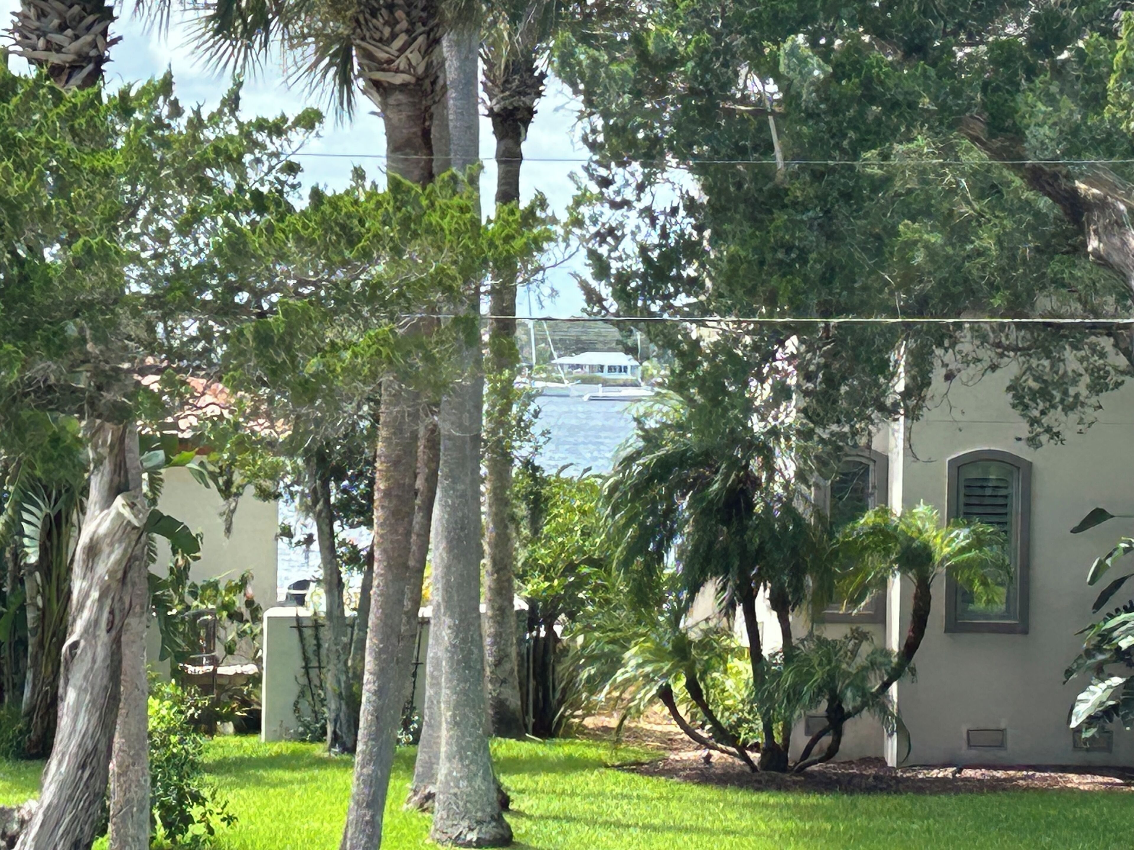Um jardim exuberante com palmeiras e um edifício com janelas em arco.