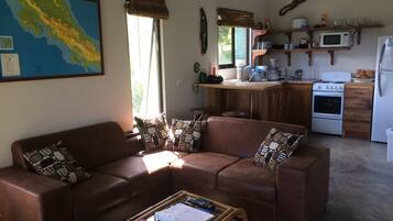 Smart TV, DVD player, books, video library