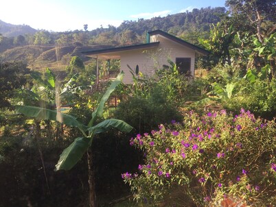 Your tropical getaway in the beautiful southern Pacific mountains of Costa Rica.