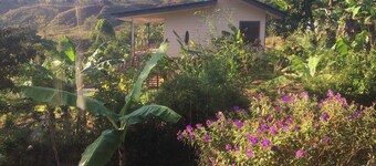 Your tropical getaway in the beautiful southern Pacific mountains of Costa Rica.