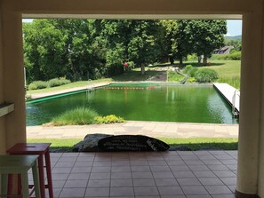 Relax by the tranquil pool, surrounded by lush greenery and a soothing waterfall.