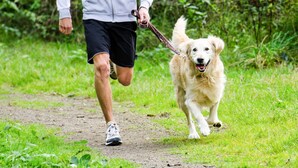 Uma pessoa correndo com um cachorro em uma trilha de terra cercada por vegetação.