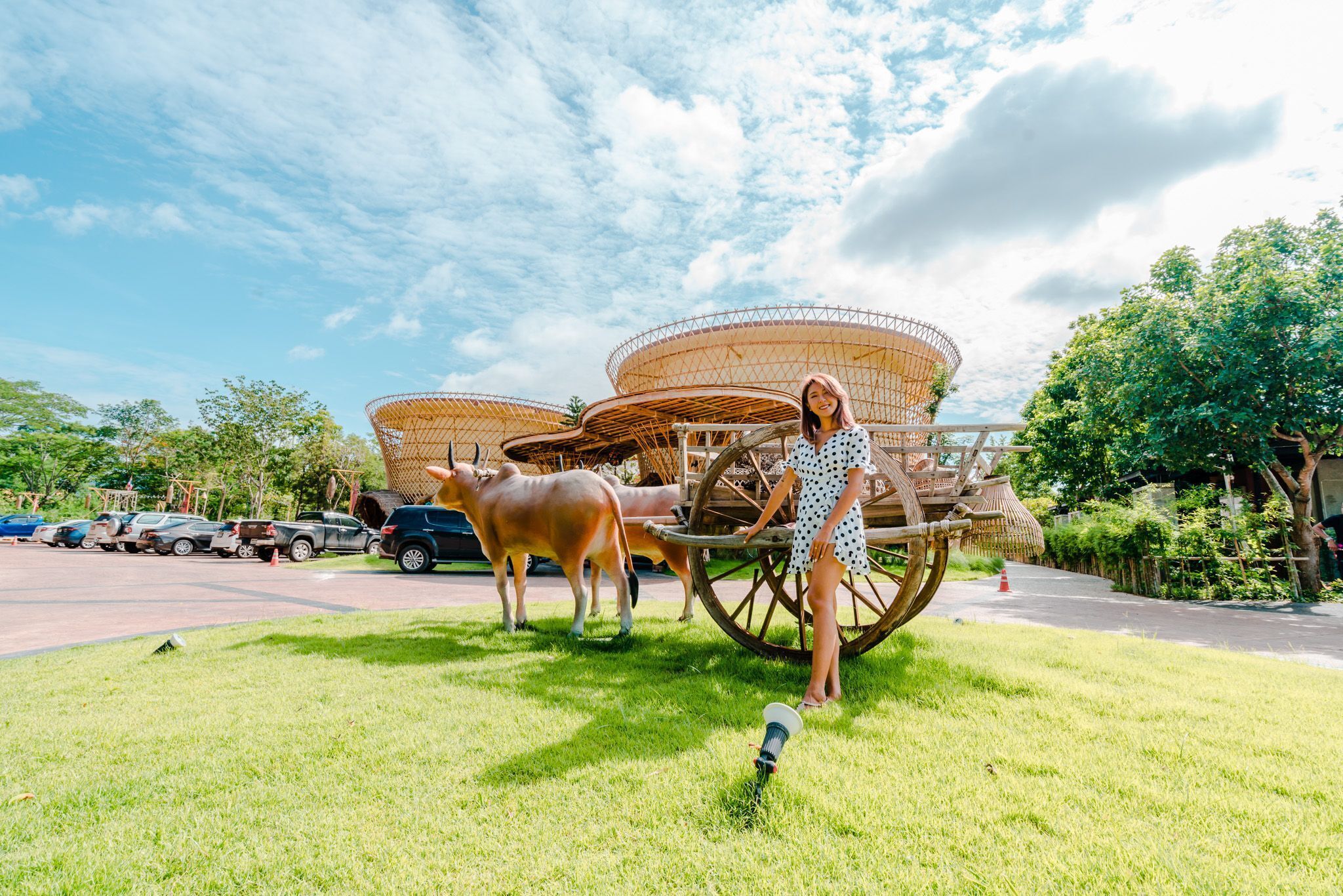A grassy area with a vintage-style cart and a woman standing in front of it.