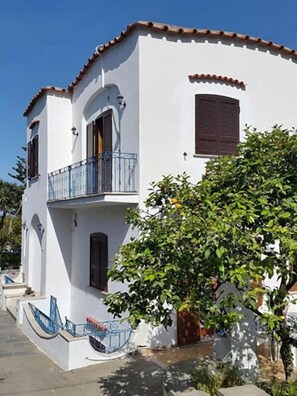 Exterior - VILLA COMAR (Forio)