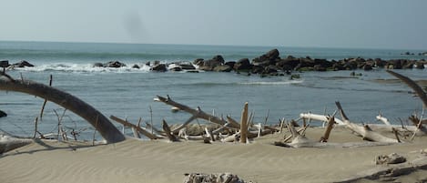 On the beach
