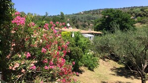 Un paysage rural avec une maison entourée d’une végétation luxuriante et de buissons en fleurs.