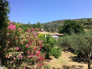 Property grounds - Gulf of Saint Tropez, French riviera villa of charm with a heated swimming pool (Le Plan-De-La-Tour)