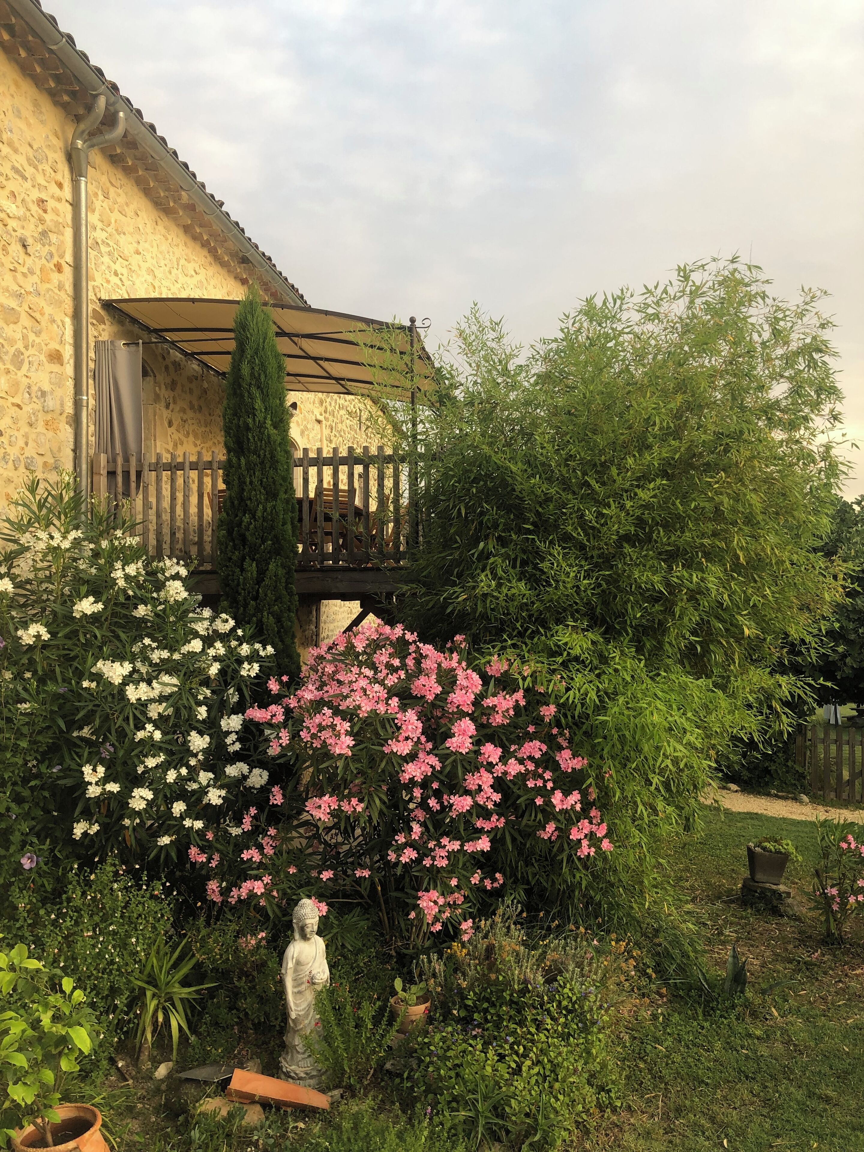 Overnattingsstedets uteområder