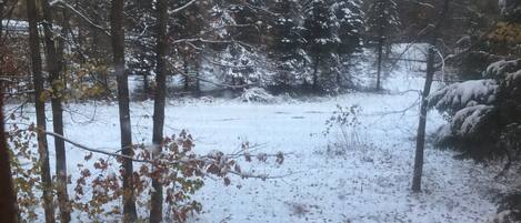 A snowy forest scene with leafless trees and a snow-covered ground.