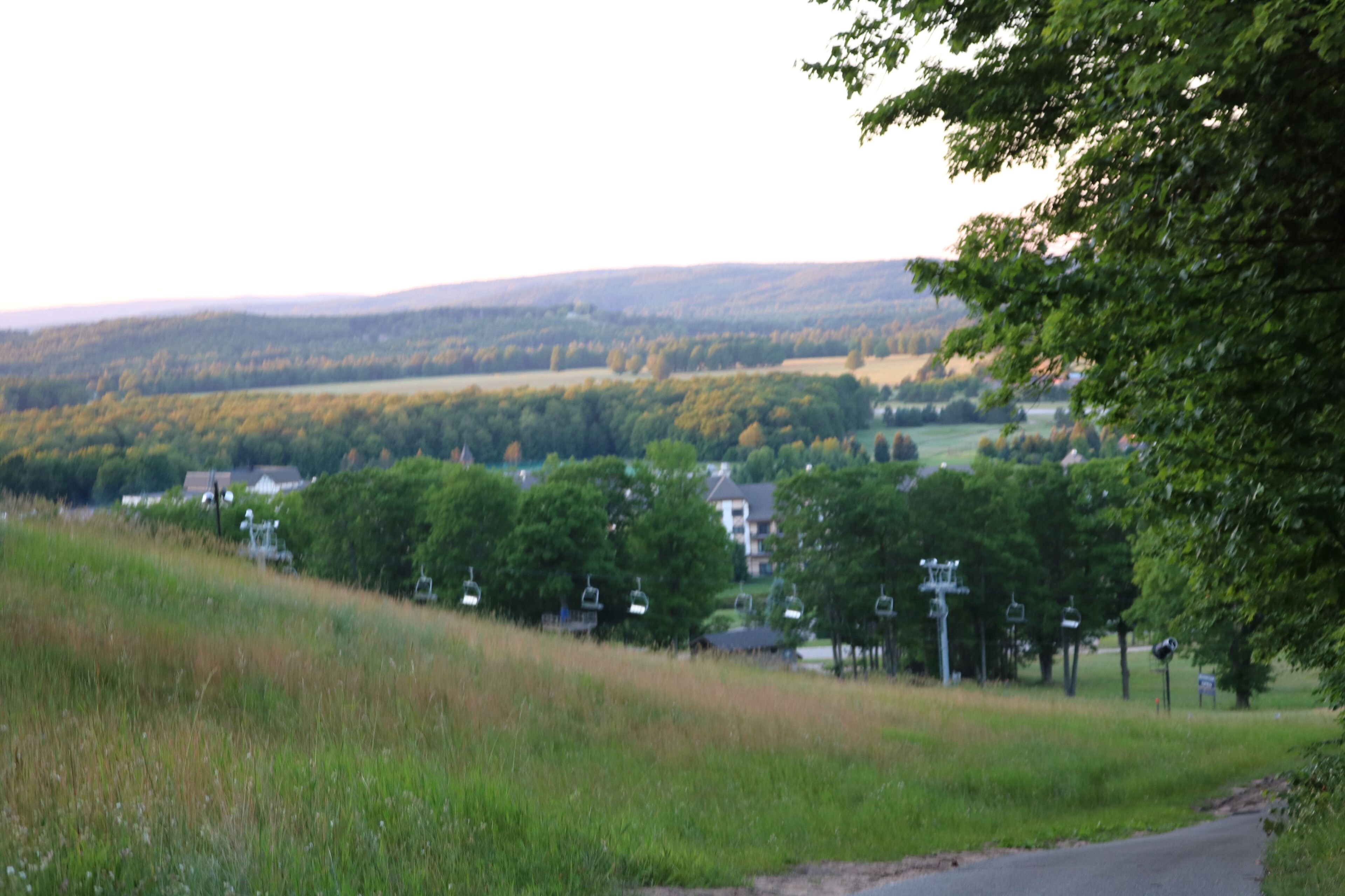 A rural landscape with a road, trees, and a distant view of hills.