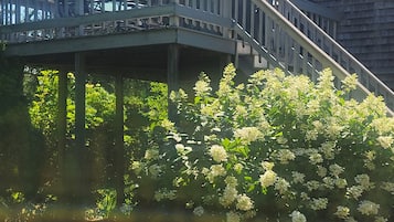 Eksteriør