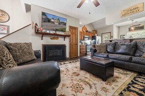 Smart TV, fireplace, DVD player, books