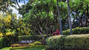 A well-maintained garden with a sign reading "Kihei Akahi," surrounded by lush greenery and palm trees.