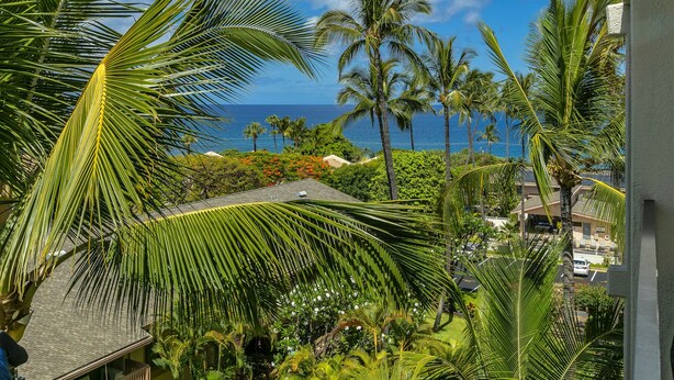 A tropical resort with palm trees, a view of the ocean, and a building with a sloped roof.