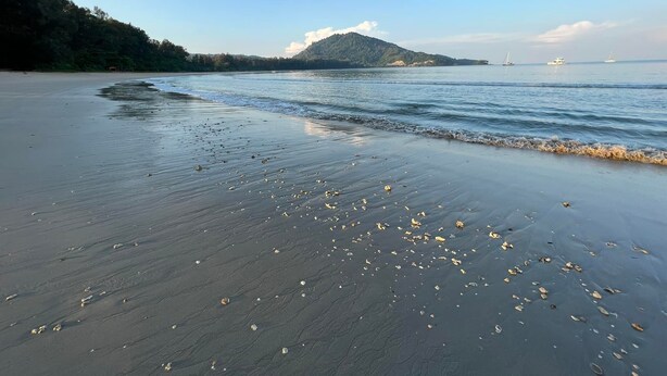 Een strand met een zandstrand, kalm water en een heuvel in de verte.