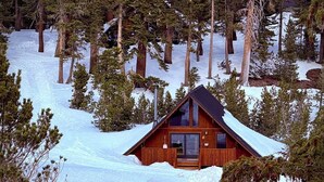 A cabin in a snowy forest.