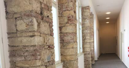 Prague Apartments Sokolovska 91