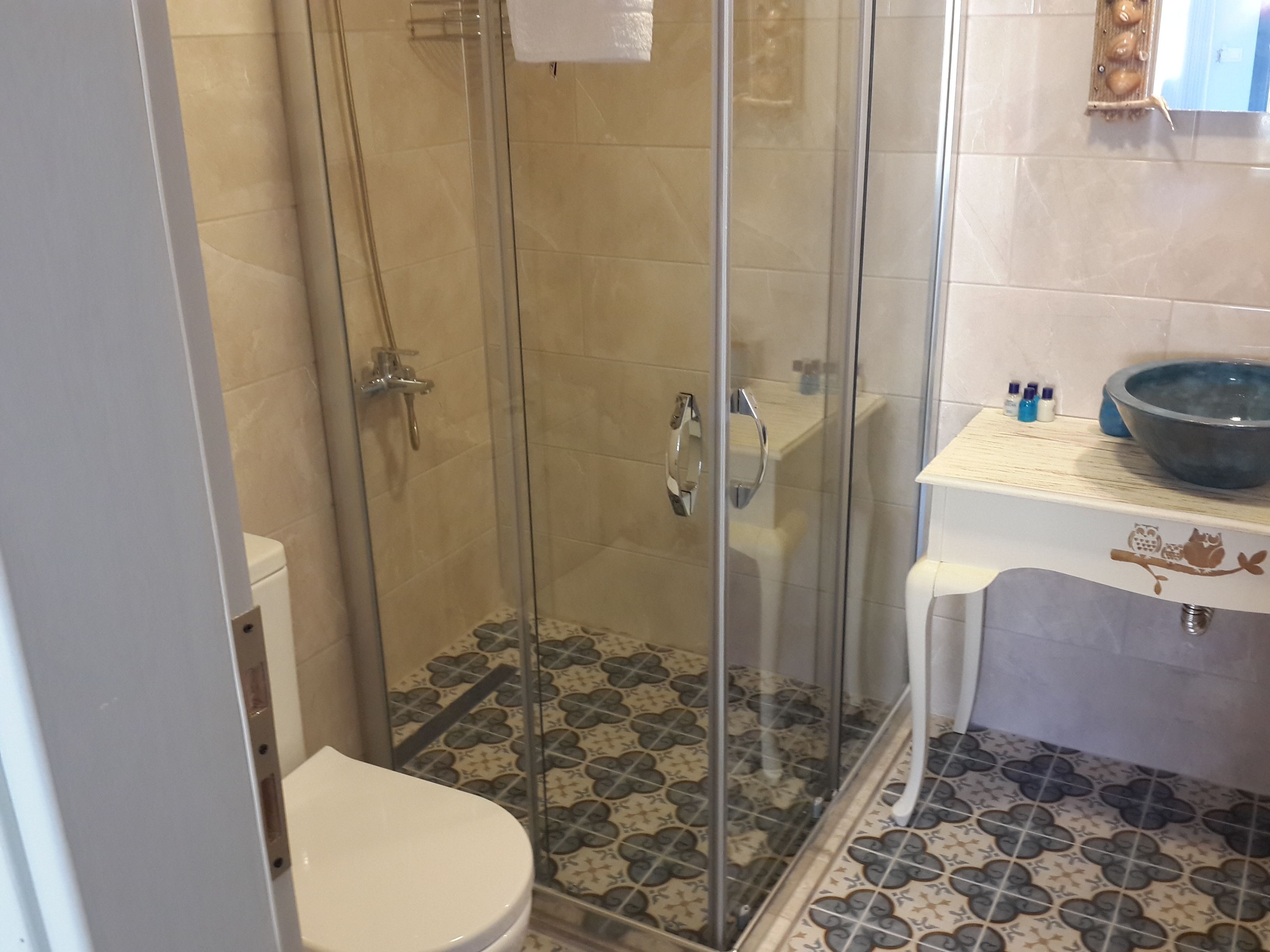 A bathroom with a glass-enclosed shower, a toilet, and a sink with a decorative bowl.