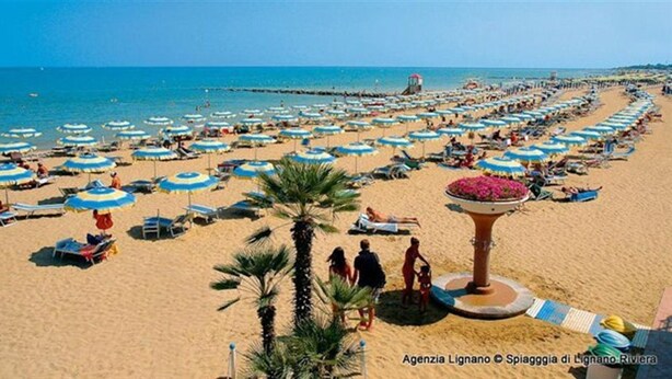 A beach with numerous umbrellas and sun loungers, a palm tree, and a flower pot on a pedestal. - Lignano Pineta (Lignano Sabbiadoro)