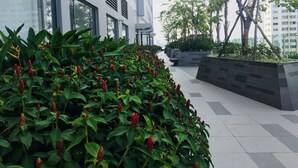 Um edifício moderno com grandes janelas e área ajardinada, com plantas verdes e árvores.